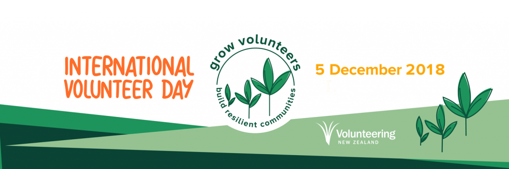 International Volunteer Day 2018